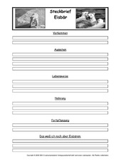 Eisbär-Steckbriefvorlage.pdf